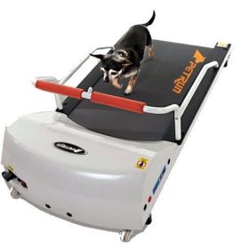 PetRun700 Dog Treadmill By GoPet